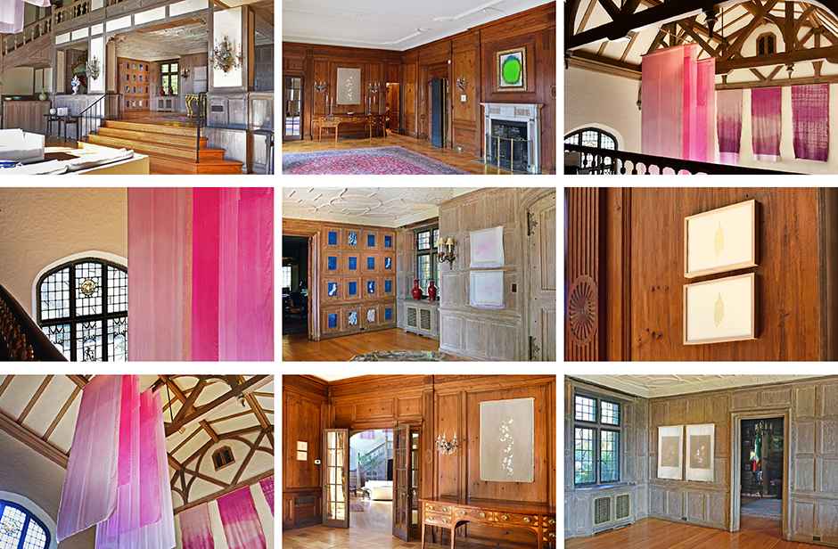 The Magical Cherry Tree / Il Ciliegio Magico