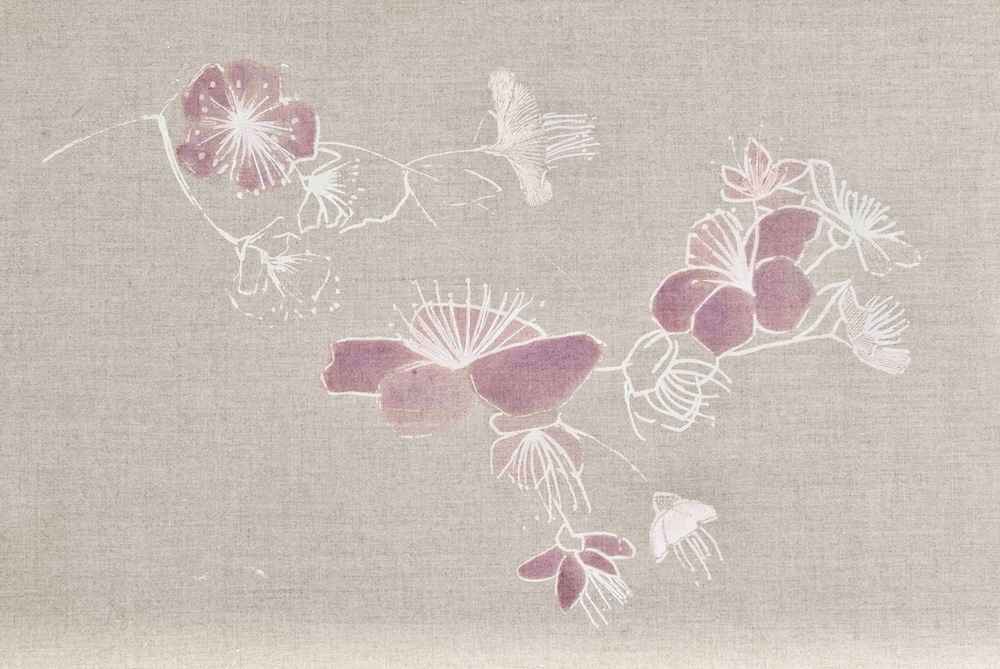 The Magical Cherry Tree-30