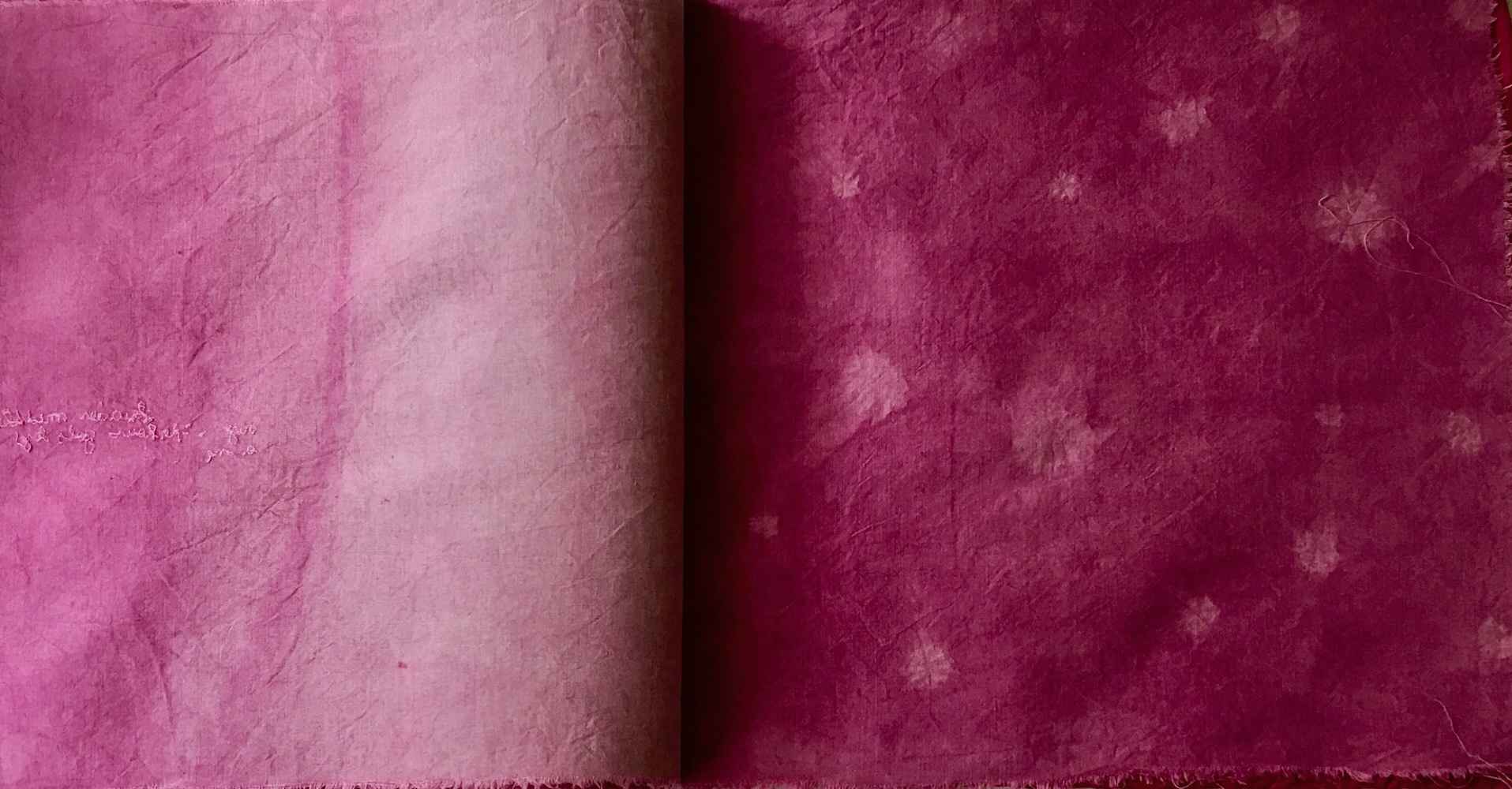 Cherry-20